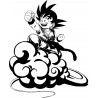 GOKU NUBE 2