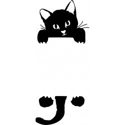 Gato
