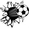Pelota futbol