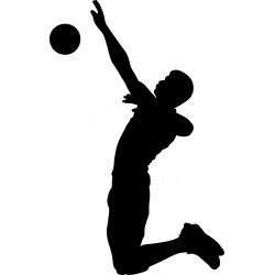Volley ball