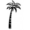 PALMERA