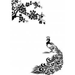 PAVO REAL