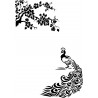 PAVO REAL
