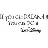 IF YOU CAN DREAM IT