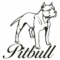 Pitbull