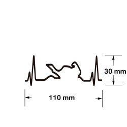 Electrocardiograma Moto Japonesa