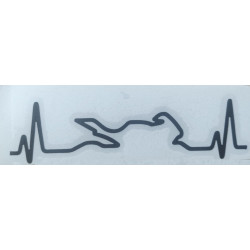 Electrocardiograma Moto Japonesa