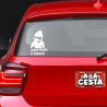 pegatina bebé a bordo para coche gafas